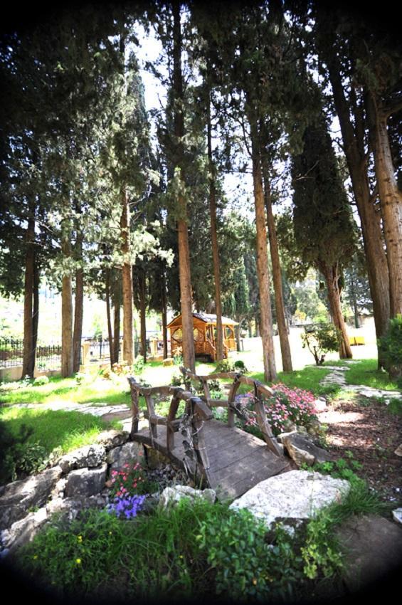 Lazurniy Bereg Hotel Gagra Exterior foto